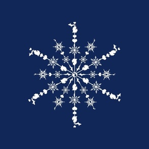 14x14x150 Michigan Snowflake