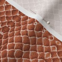 Faux crochet fish net kaleidoscope string on marble 12” repeat on burnt umber orange with cream