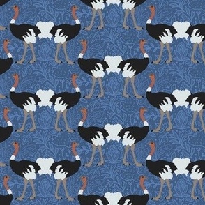 Ostrich Dance, Blue