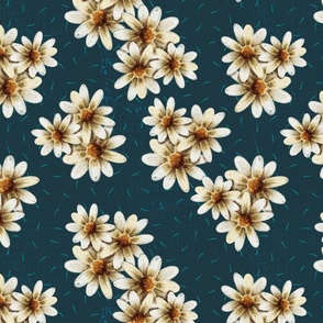 Nightfall Daisies | Rustic textured daisies on a midnight blue background