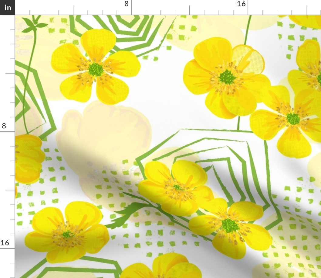 Buttercup flowers on a white background. Buttercups set.