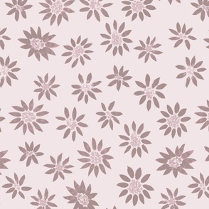 asters_daisies_pink_mauve