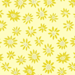 asters_daisies_yellow