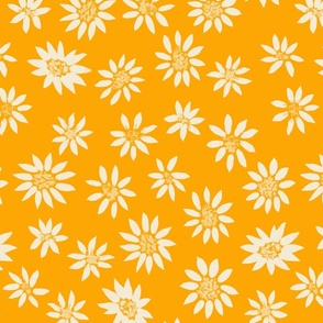 asters_daisies_orange_dk