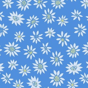 asters_daisies_azure_blue