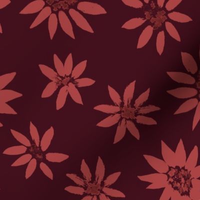 asters_daisies_deep_red