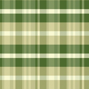 Iagan Plaid Pattern - Moss and Sage Greens - Spring Tartan Collection