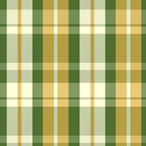 Aillith Plaid Pattern - Moss Green, Sage, Golden Yellow - Spring Tartan Collection