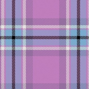 Town Square Plaid in Pink and Baby Blue