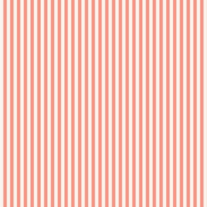 peach pink stripe