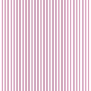 pink lavender stripe