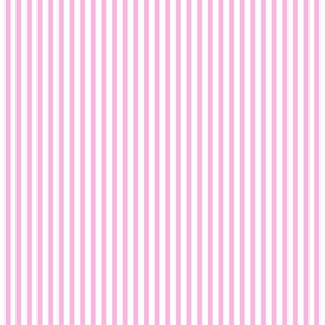 new pink _ bright pink and off white even stripe