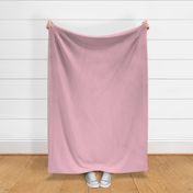 PARFAIT PINK_solid plain color