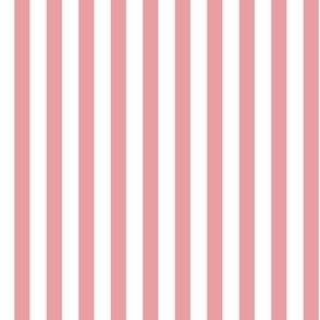 CORAL CLOUD_Classic even vertical stripe with Off-White