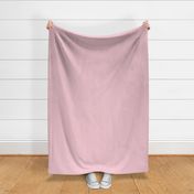 SEA PINK_classic even vertical stripe 