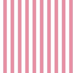 SEA PINK_classic even vertical stripe 