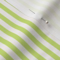 SUNNY LIME_solid and a stripe_Stripe 150