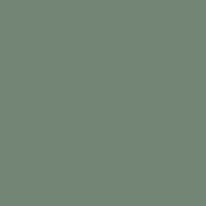 LODEN FROST _Solid plain color_muted dusty green 