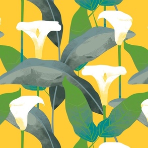 Calla Lillies on yellow