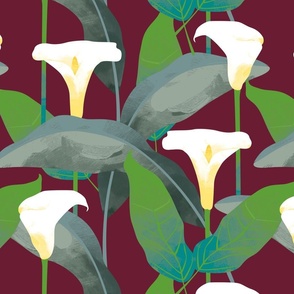 Calla Lillies on maroon