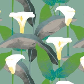 Calla Lillies on mint