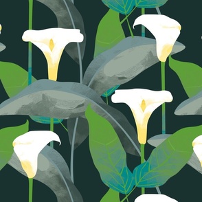 Calla Lillies on dark green