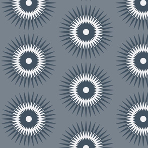 starburst in grey