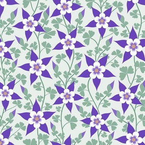 Aquilegia (purple)(lg)