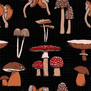 Mushroom Paradise Black