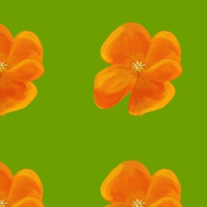 Grand Califul Poppies - Lime