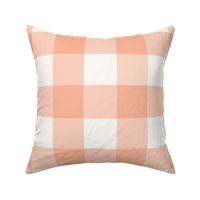 3" Gingham: Blush Peach & Cream Gingham Check, Peach Buffalo Check, Buffalo Plaid