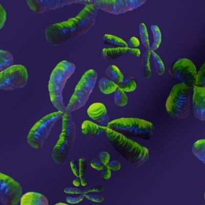 Floating Chromosomes - Indigo