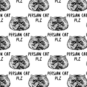  Persian Cat Plz_8x8