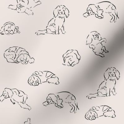 More Sleep Cavalier King Charles Spaniel_8x8