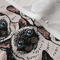 Social Siamese Cat_8x8