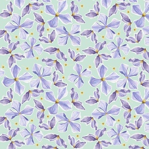 flower--mint background