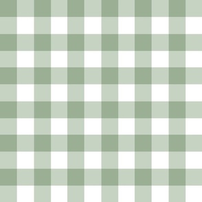 1.5" gingham checkers forest shade green/medium