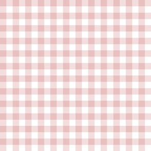 0.75” gingham checkers/heavenly pink/small