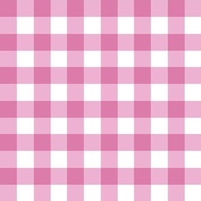1.5" gingham checkers/vibrant pink/medium