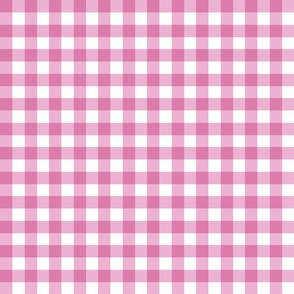 0.75" gingham checkers/vibrant pink/small
