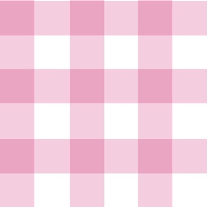 3" gingham checkers/sweet ballerina pink/large
