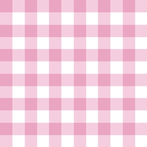 1.5 " gingham checkers/sweet ballerina pink/medium