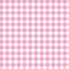 0.75" gingham checkers/sweet ballerina pink/small