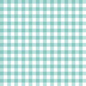 0.75" gingham checkers/mint/small