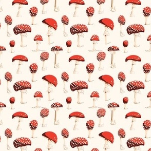 Amanita Mushrooms - Red on White
