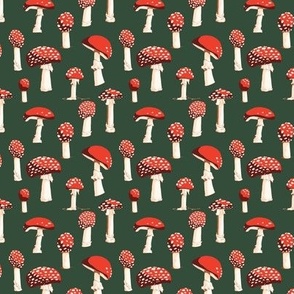Amanita Mushrooms - Red on Evergreen
