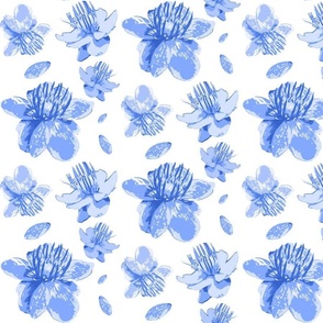 Blue Buttercups Wind Gusted on White Floral Graphic Pattern Print