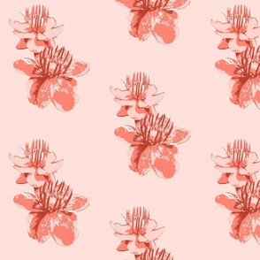 Pink Buttercups Couple on Light Pink Floral Graphic Pattern Print