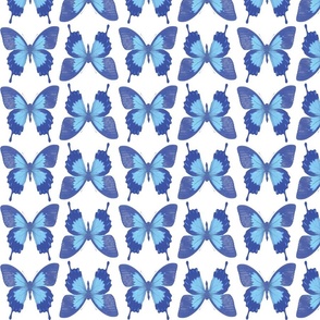 Blue Butterfly Grid - Large Scale