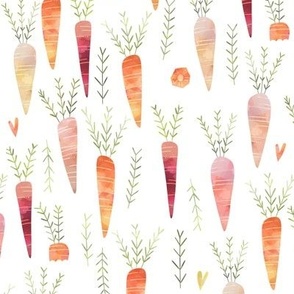 Carrot Harvest – Colorful Veggie